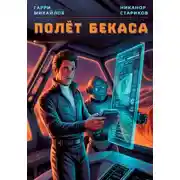 Постер книги Полёт Бекаса