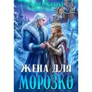 Постер книги Жена для Морозко