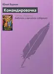 Юлий Буркин - Командировочка