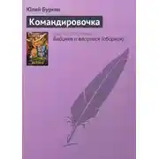 Постер книги Командировочка