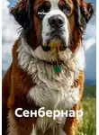РЕГИНА ЗИМНЯЯ - Сенбернар