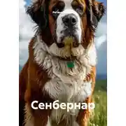 Постер книги Сенбернар
