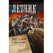 Постер книги Лётчик-2