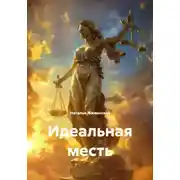 Постер книги Идеальная месть
