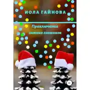Постер книги Приключения зимних гномиков