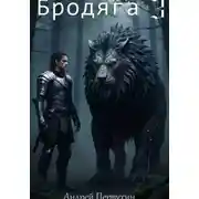 Постер книги Бродяга 3