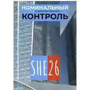 Постер книги Номинальный контроль