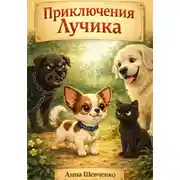 Постер книги Приключения Лучика