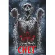 Постер книги Снег