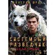 Постер книги Системный разведчик. Адаптация. Том 3