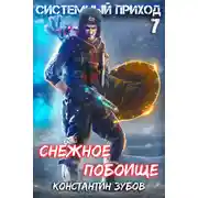 Постер книги Системный приход 7. Зима пришла