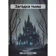 Постер книги Загадка тьмы