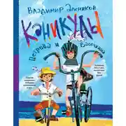 Постер книги Каникулы Петрова и Васечкина