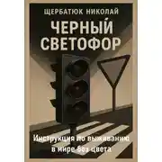 Постер книги Черный светофор: Инструкция по выживанию в мире без цвета