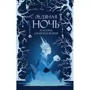 Постер книги Ледяная ночь. 31 история для жутких вечеров