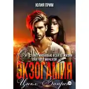 Постер книги Экзогамия