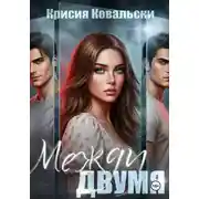 Постер книги Между двумя