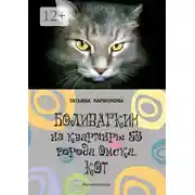 Постер книги Боливаркин из квартиры 53 города Омска. Кот. Жизнеописание
