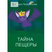 Постер книги Тайна пещеры
