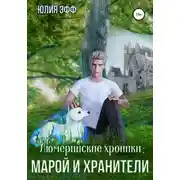 Постер книги Марой и хранители