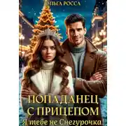 Постер книги Попаданец с прицепом. Я тебе не Снегурочка!