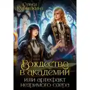Постер книги Рождество в академии, или Артефакт незримого озера