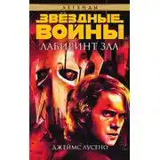 Постер книги Лабиринт зла