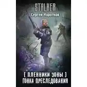 Постер книги Гонка преследования