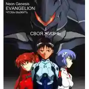 Постер книги Своя жизнь