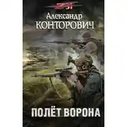 Постер книги Полет ворона