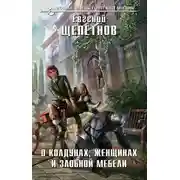 Постер книги О колдунах, женщинах и злобной мебели