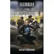 Постер книги Путь домой