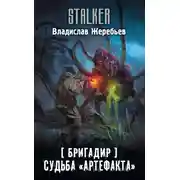 Постер книги Бригадир. Судьба «Артефакта»