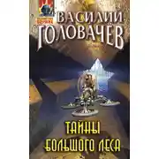 Постер книги Тайны большого леса