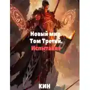 Постер книги Испытание