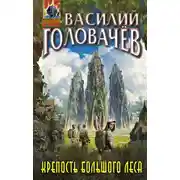 Постер книги Крепость большого леса