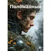 Постер книги Поломанный