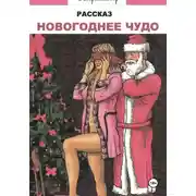 Постер книги Новогоднее чудо