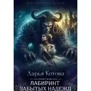 Постер книги Лабиринт Забытых Надежд