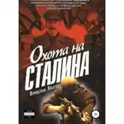 Постер книги Товарищи сталкеры…