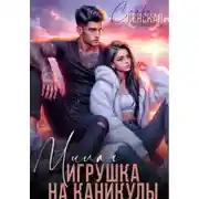 Постер книги Милая игрушка на каникулы