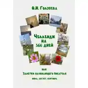 Постер книги ЧЕЛЛЕНДЖ НА 366 ДНЕЙ. Часть 3. Июль, август, сентябрь.
