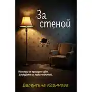 Постер книги За стеной