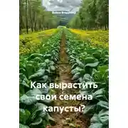 Постер книги Как вырастить свои семена капусты?