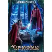 Постер книги Чернозимье