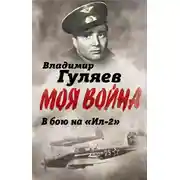 Постер книги В бой на «Ил-2». Нас называли «черной смертью»