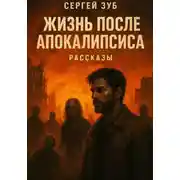 Постер книги Жизнь после апокалипсиса. Рассказы