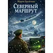 Постер книги Северный маршрут
