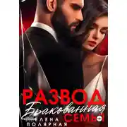 Постер книги Развод. Бракованная семья