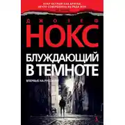 Постер книги Блуждающий в темноте